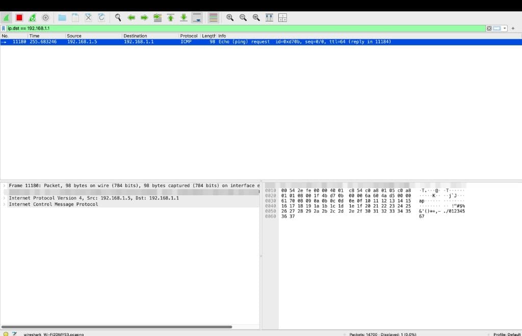 Figure 1. Initial Gateway Isolation Test showing an outbound ICMP echo (ping) request from the local workstation (192.168.1.5*) to the default gateway (192.168.1.1*).